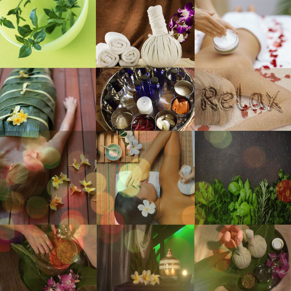 TTMAプロフェッショナルセラピストサービス＆サポート