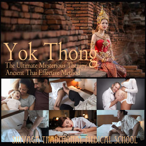 子宮卵巣マッサージ　ヨクトーン