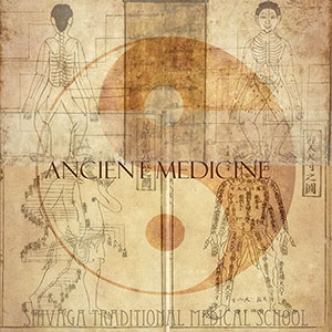 東洋医学経絡とタイ伝統医学エネルギーラインセン